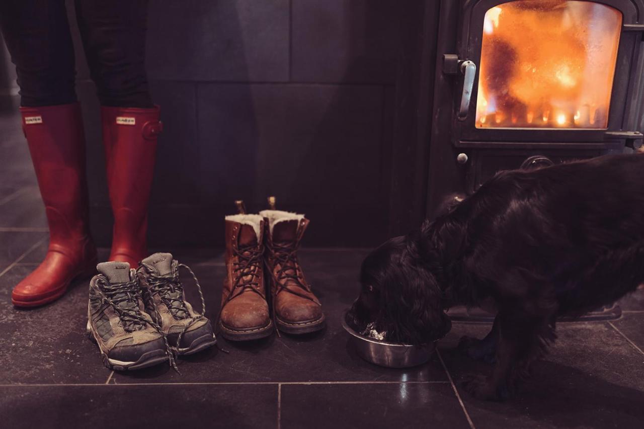 Longlands Inn & Cottages Carnforth Exterior foto A dog in front of a wood burning stove